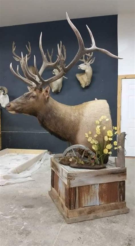Rustic Barn Wood Pedestal Could Be Used For Any Big Game Animal Ready