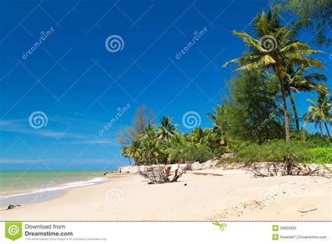 40 Tropical Beach Scenes Wallpaper Wallpapersafari