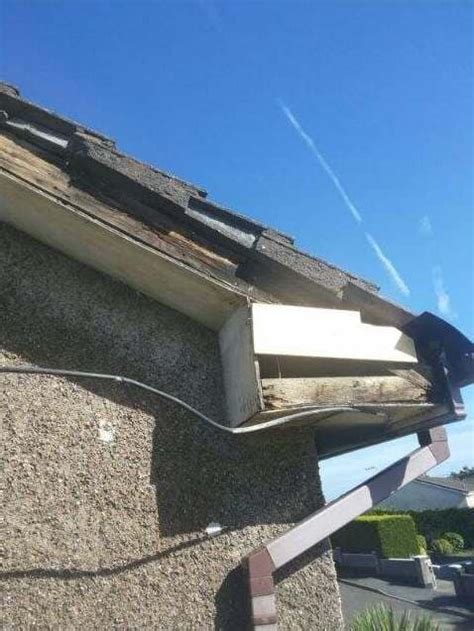 Fascia Soffit And Gutter Repairs Dublin City Roofing
