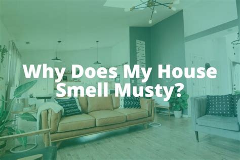Why Does My House Smell Musty Kaiser Air Conditioning