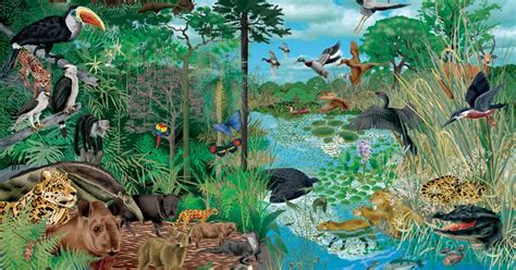 Los biomas acuáticos se agrupan en dos, biomas de agua dulce (lagos y estanques, ríos y arroyos, humedales) y biomas marinos (océanos, arrecifes de coral y estuarios). Ecosistemas en el Parque Nacional "Los Dinamos"