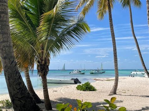 Nexustours Punta Cana Aktuell Für 2022 Lohnt Es Sich Mit Fotos