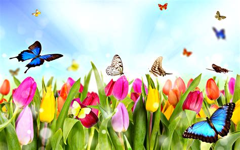 Free Download Dream Spring 2012 Spring Time Wallpapers Hd Wallpapers