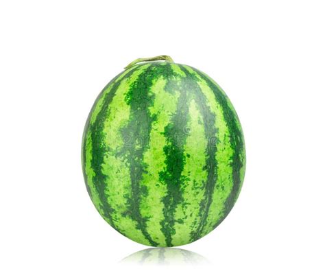 883 Single Whole Watermelon Isolated Stock Photos Free And Royalty Free