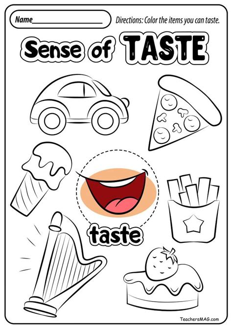 5 Senses Worksheet For Kindergarten