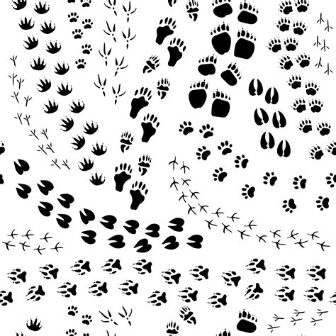 Animal Track Seamless Pattern Download Free Vectors
