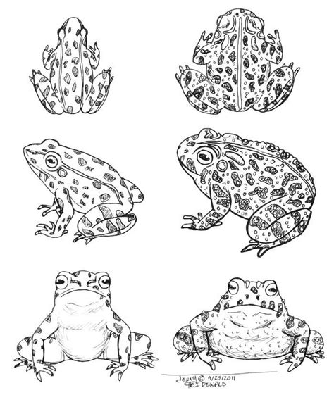 Frog And Toad Coloring Page Home Sketch Coloring Page