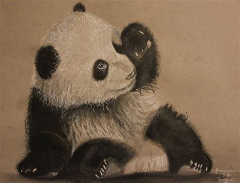 Baby Panda Drawing At Getdrawings Free Download