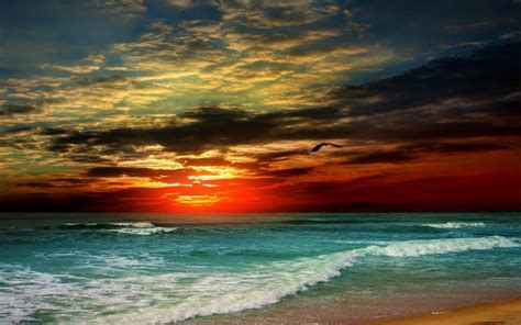 Sunset Beach Sea Waves Tropical Clouds Bird Wallpaper Beach
