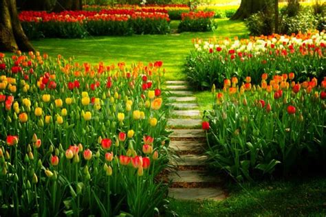 10 Dicas Para Cultivar Um Jardim Lindo Na Primavera Decoração Farol