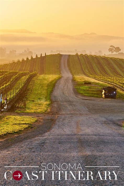 The True Sonoma Coast Itinerary A Wine Lovers Guide Winetraveler
