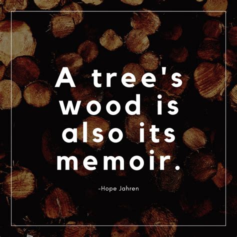 3 Fun Quotes About Lumber Wood Its Real