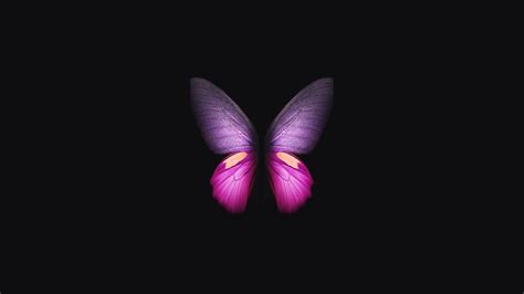 Samsung Galaxy Fold Butterfly Hd Artist 4k Wallpapers Images