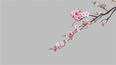 Aesthetics Spring Backgrounds Minimalist Aesthetic Spring Pc HD