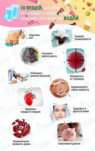 Фитнес здоровье диета