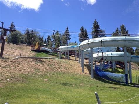 Alpine Slide At Magic Mountain Big Bear Lake Ca Kid Friendly A
