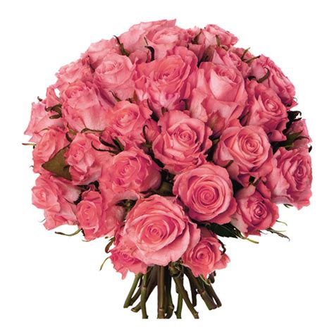 Bouquet De 30 Roses Rose Un Cadeau Pour Ses 30 Ans