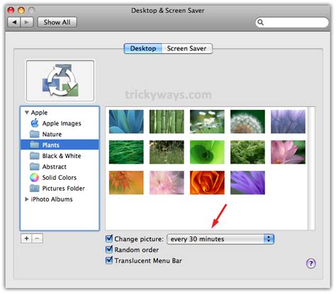 Free Download Mac Os X Change Wallpaper Mac Mac Newbies Mac Os X Mac