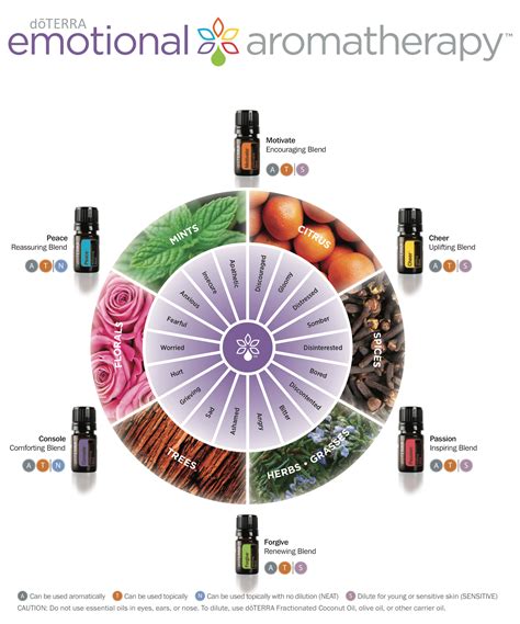 A practical process for creating miracles. Emotional and Mood Essential Oils | Jade Balden