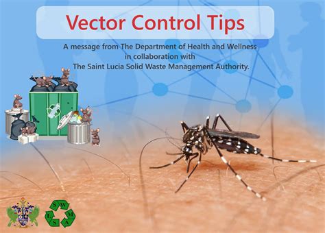 Vector Control Tips - solidwaste
