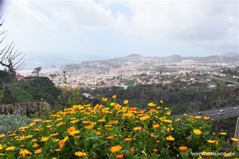 Urlaub Auf Madeira Erlebnisse Und Empfehlungen Reisen Outdoor