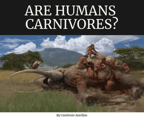 Are Humans Carnivores Why Were Made To Eat Red Meat