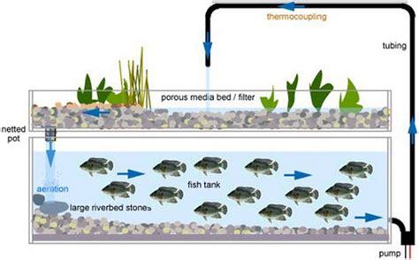 There is a nasa project called: Aquaponics and Vertical Farming. | Freeborn Blog