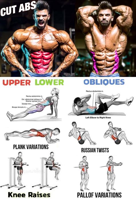 Best Upper And Lower Ab Exercises Off 75