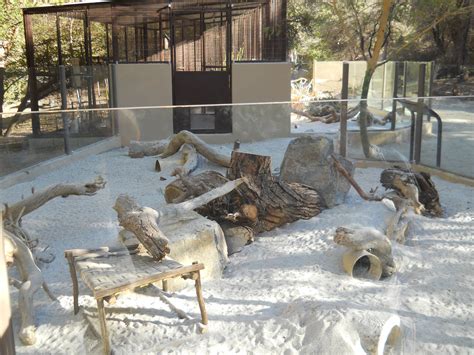 Full View Of New Meerkat Exhibit Zoochat
