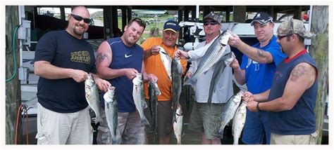 Adrenaline is produced by the chromaffin cells in the medulla of the adrenal glands and is released in response to a stressor or perceived threat. Get A Dose of Adrenaline Rush with Striper Fishing at ...