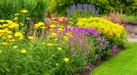 At first it was sitting in heavy shade and regularly disturbed by raccoons until i moved it to a more protected position. 15 Best Summer Flowers - Beautiful Flowers That Bloom All ...