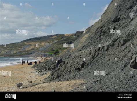 Soft Grey Fossil Rich Mudstone Cliffs Along Charmouth Beach West