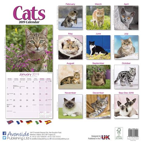 Cats Calendar Cat Calendars Megacalendars