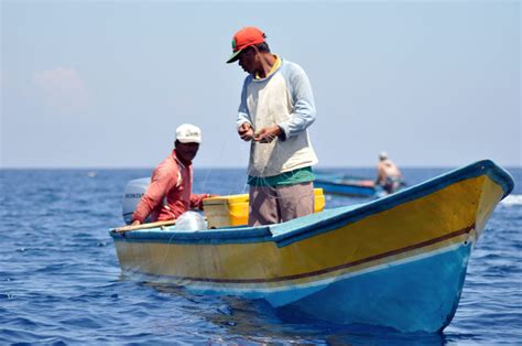 M Lin Ditengah Rencana Kebijakan Negara Penangkapan Ikan Terukur Arcapati