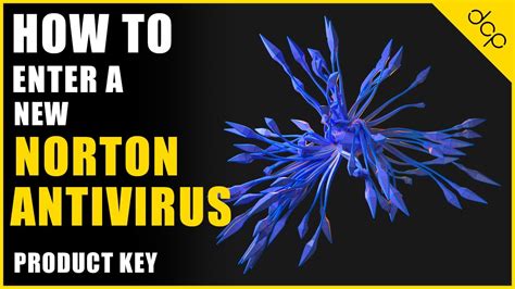 How To Enter A New Norton Antivirus Product Key Tutorial Youtube