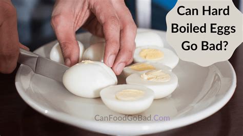 Can Hard Boiled Eggs Go Bad How Long Are Hard Boiled Eggs Good For