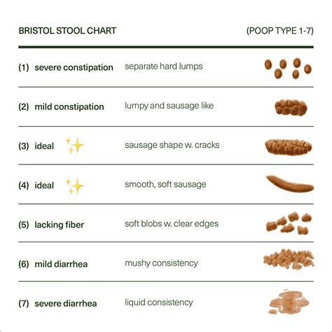 What Is The Bristol Stool Chart Bristol Stool Color Chart Stools Item