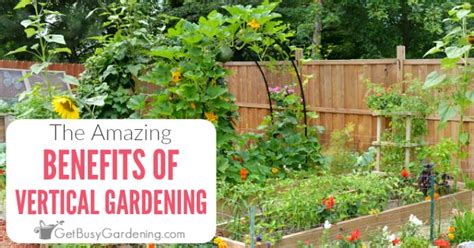 The Amazing Benefits Of Vertical Gardening Get Busy Gardening