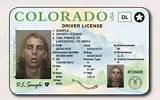 Which Number Is The Driver''s License Number Colorado Images