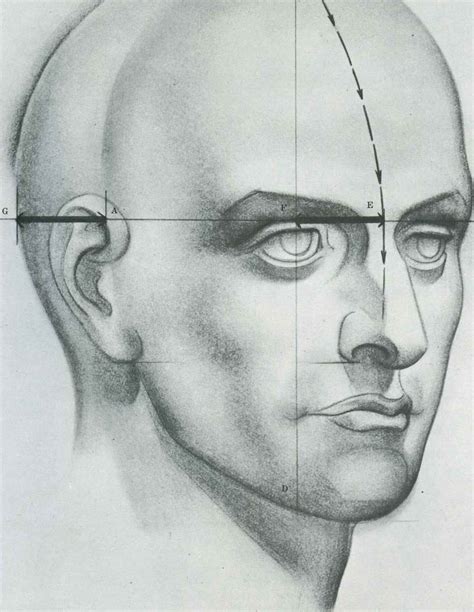 Drawing The Human Head Drawing The Human Head Drawing The Human
