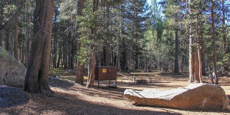 Guide To Camping In Yosemite National Park Outdoor Project