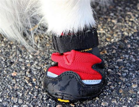 How To Make Dog Booties A Fun Diy Project For Busters Paws Dog Blog
