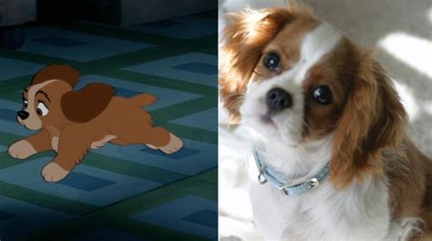 Disney Baby Animals And Their Real Life Counterparts News