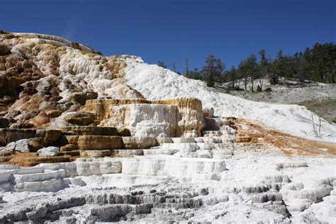 Mammoth Hot Springs In Yellowstone National Park Yellowstone National