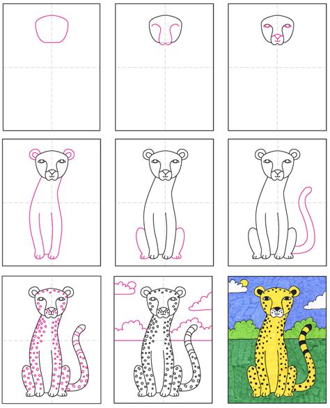 How To Draw A Cheetah Printable Step By Step Drawing Sheet Images And