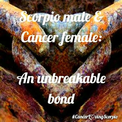 Does the hype about these two signs live up to the reality? Pin by Christine Hill-Lester on Scorpio♏ & Cancer♋ ...