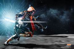 Your Pet Destiny Awaits Craigslist Pets Palm Springs Is The Key