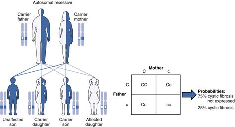 patterns of inheritance anatomy and physiology ii