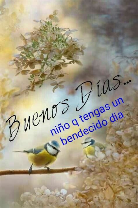Two Birds Sitting On A Branch With The Words Benos Dias In Front Of Them