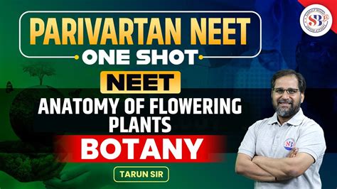 Anatomy Of Flowering Plants One Shot Botany Complete Chapter For Neet